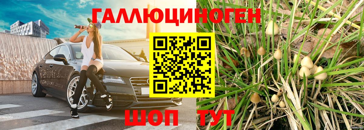 Сорочинск  Псилоцибиновые грибы мицелий  Вход с VPN 